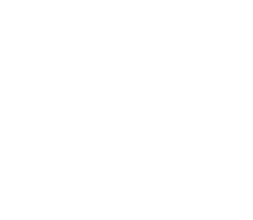 11tv tv channels