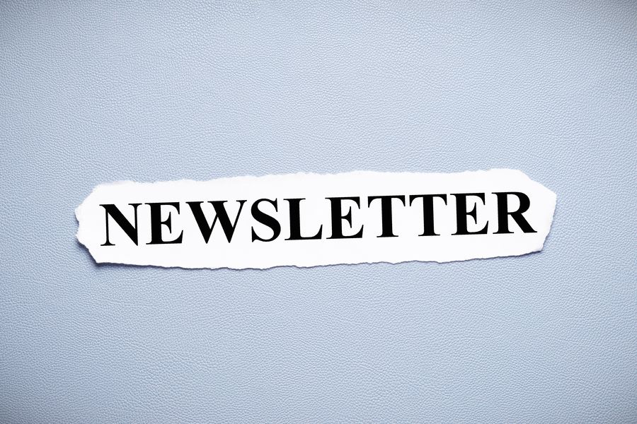 newsletter que es
